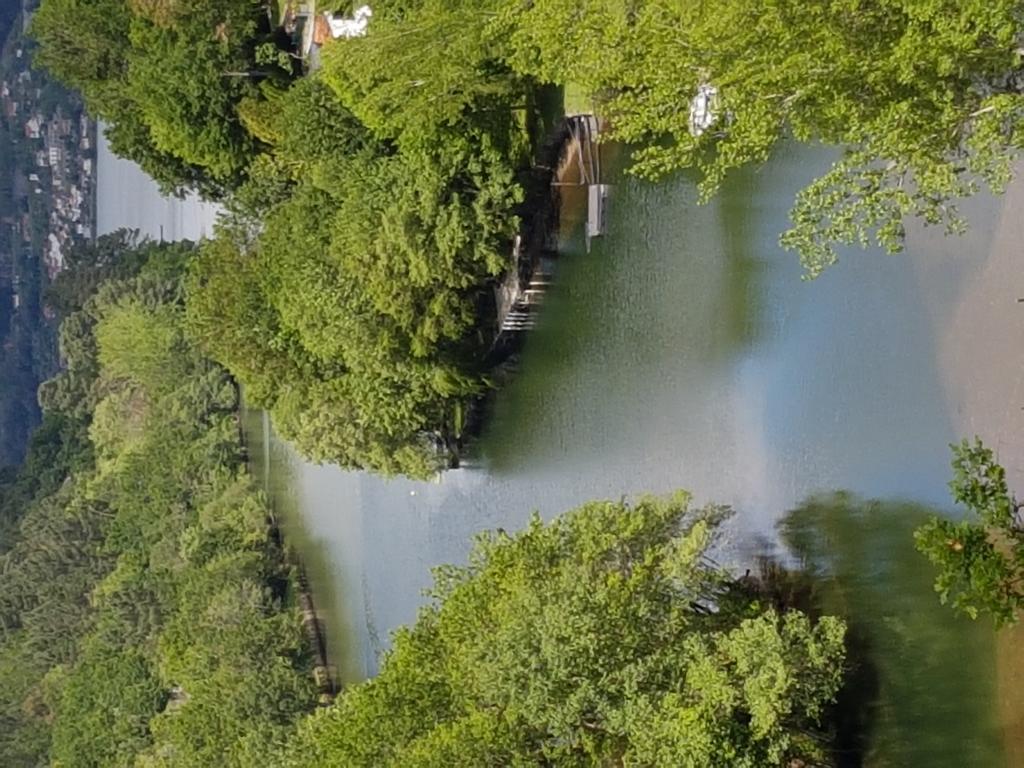 Quinta Da Ventuzela Ξενοδοχείο Cinfaes Εξωτερικό φωτογραφία