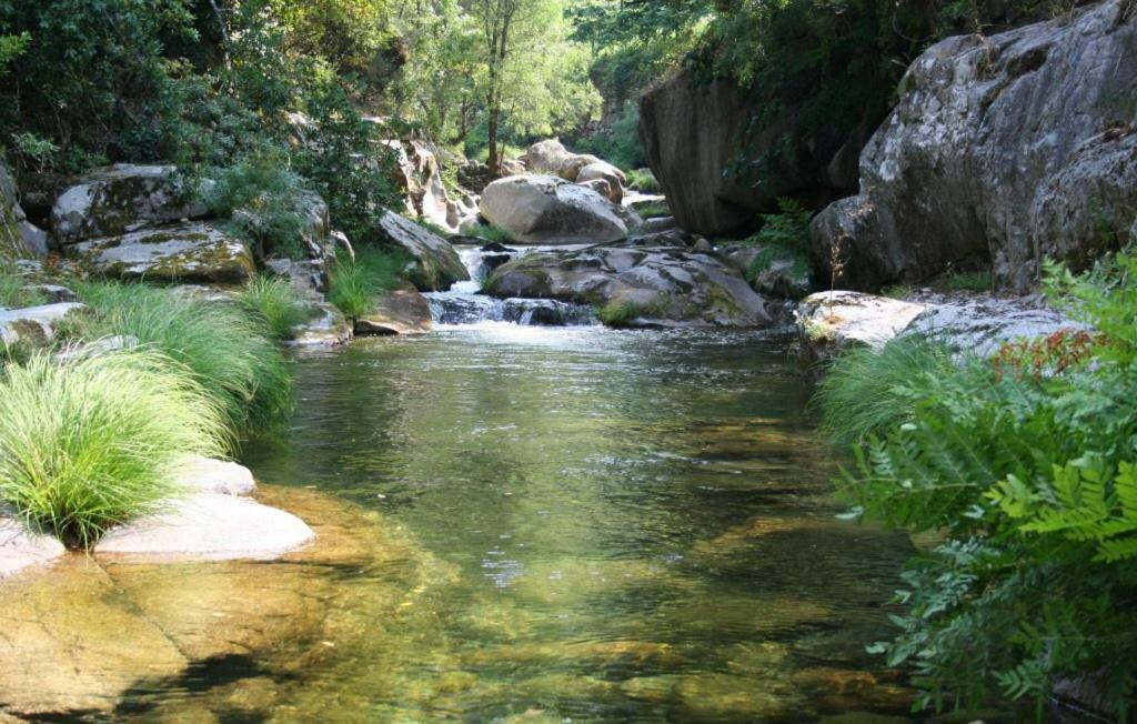 Quinta Da Ventuzela Ξενοδοχείο Cinfaes Εξωτερικό φωτογραφία